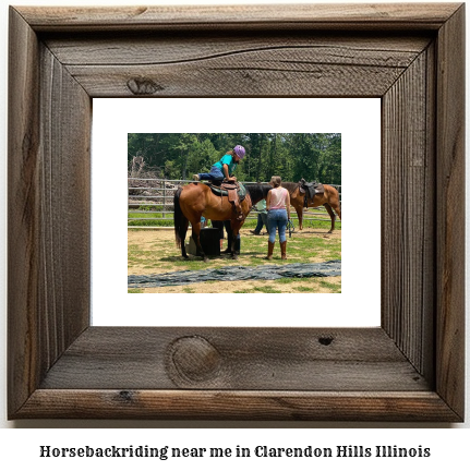 horseback riding near me in Clarendon Hills, Illinois